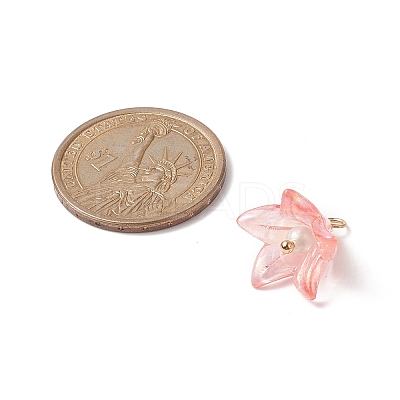 Acrylic Pendants PALLOY-TA00023-1