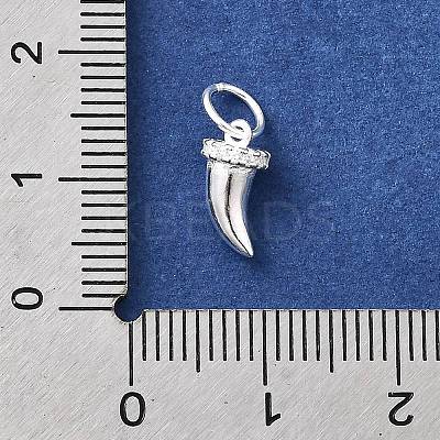 925 Sterling Silver Micro Pave Cubic Zirconia Charms STER-D309-01B-S-1