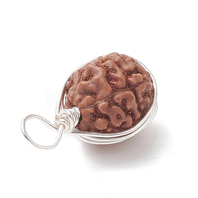 Natural Rudraksha Copper Wire Wrapped Pendants PALLOY-JF02066-01-1