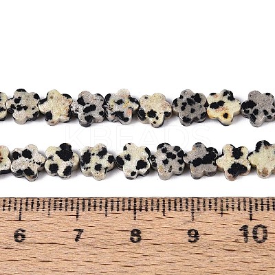 Natural Dalmatian Jasper Beads Strands G-N257-24A-04-1