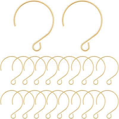 40Pcs Ion Plating(IP) 304 Stainless Steel Earring Hooks STAS-UN0036-42-1