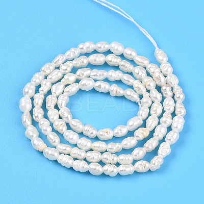 Natural Cultured Freshwater Pearl Beads Strands PEAR-N012-02X-1