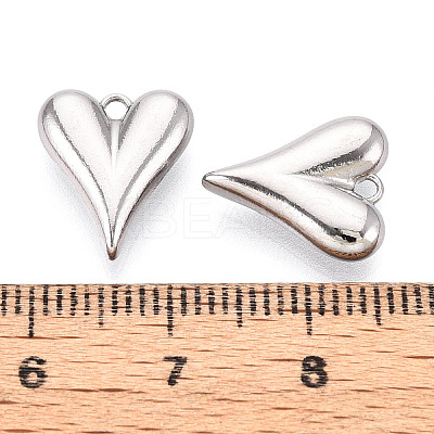 304 Stainless Steel Charms LS-STAS-T065-81P-1