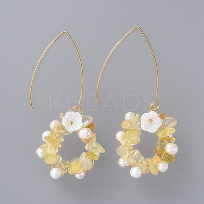 Chip Natural & Synthetic Gemstone Dangle Earrings EJEW-JE03977-1