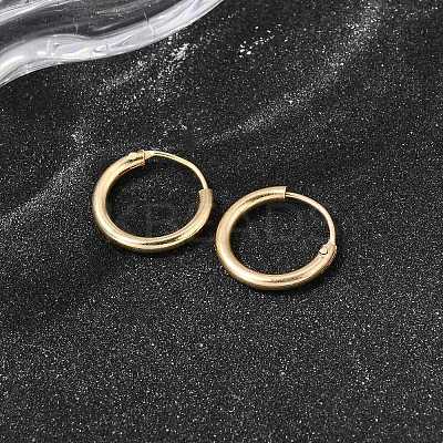 Brass Hoop Earrings EJEW-G474-01G-01-1