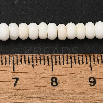 Natural Magnesite Beads Strands G-D474-02B-1
