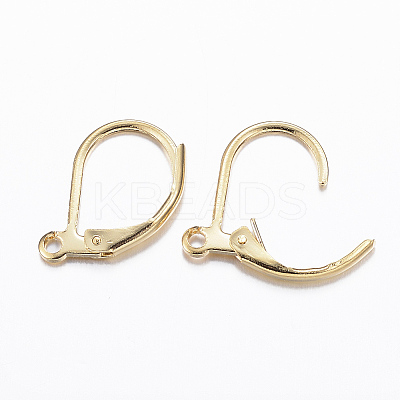 316L Surgical Stainless Steel Leverback Earring Findings STAS-E194-03G-1