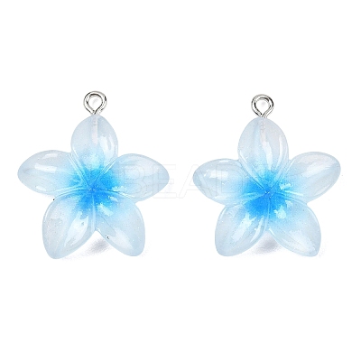Transparent Resin Pendants RESI-P048-01P-1