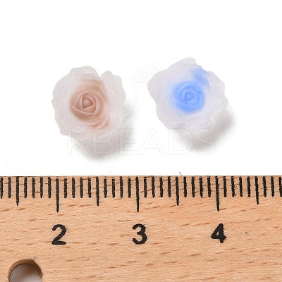 Luminous Resin Decoden Cabochons RESI-K036-06K-1