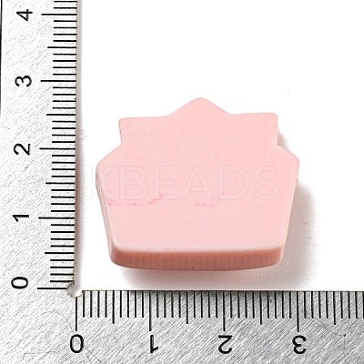 Birthday Theme Opaque Resin Decoden Cabochons LS-CRES-F032-A08-1
