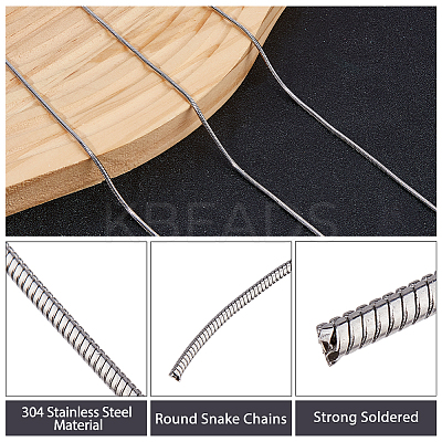 10M 304 Stainless Steel Round Snake Chains CHS-HS0001-01B-1