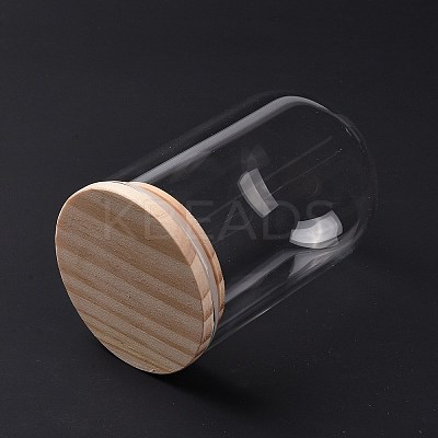 Glass Dome Cover DJEW-E009-01-1