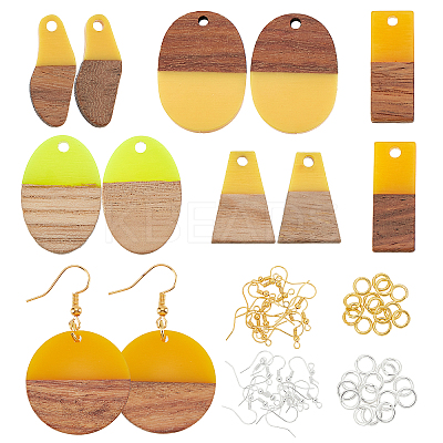 DIY Dangle Earring Making Kits RESI-OC0001-15-1