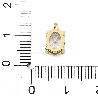 304 Stainless Steel Micro Pave Cubic Zirconia Charms STAS-L022-160G-A02-1