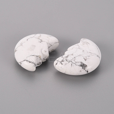 Natural Howlite Beads G-T132-028-1