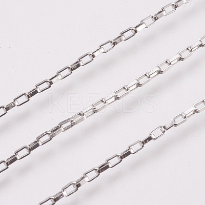 Non-Tarnish 3.28 Feet 304 Stainless Steel Box chains/Venetian Chains X-CHS-K008-12A-1