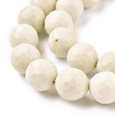 Natural Fossil Round Bead Strands G-O151-02-12mm-1