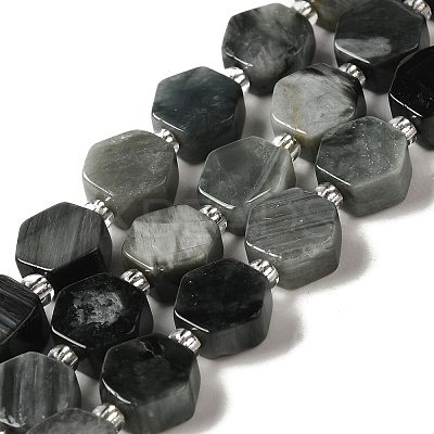 Natural Eagle Eye Stone Beads Strands G-P534-A14-02-1