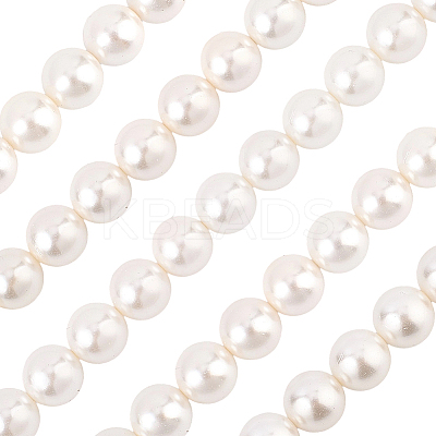1 Strand AB Color Plated Shell Pearl Round Beads Strands BSHE-LT0001-01-1
