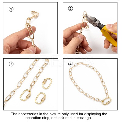 Brass Micro Pave Cubic Zirconia Screw Carabiner Lock Charms ZIRC-F105-03G-1