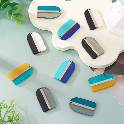 10Pcs 5 Colors Resin & Wood Pendants RESI-TA0004-53-1