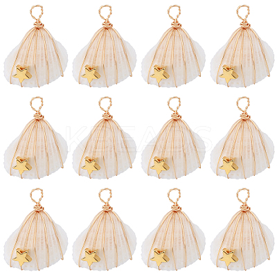 20Pcs Natural Spiral Shell Copper Wire Wrapped Pendants FIND-SC0005-90-1