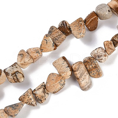 Natural Picture Jasper Nuggets Beads Strands G-B125-A10-01-1