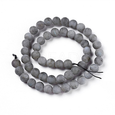Natural Labradorite Beads Strands G-I218-02-1