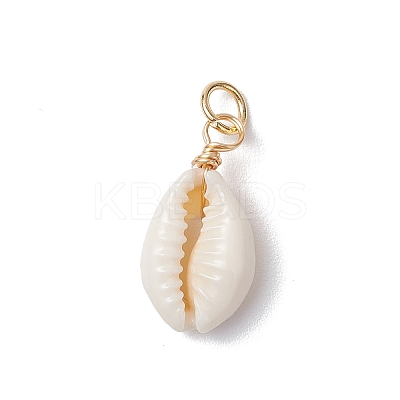 Natural Cowrie Shell Pendants PALLOY-JF03712-01-1