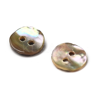 Abalone Shell/Paua Shell BSHE-I011-04D-1