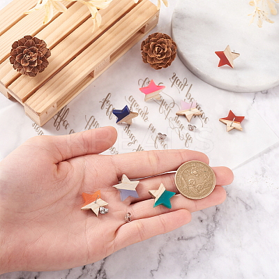 10 Pair 10 Color Transparent Resin & Wood Stud Earring Findings DIY-FW0001-09-1