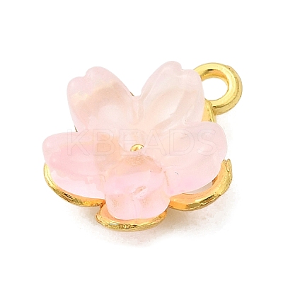 Alloy Glass Charms FIND-C079-05G-1