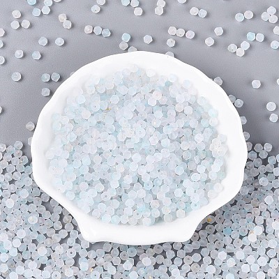 Frosted Glass Seed Beads SEED-N012-01B-1