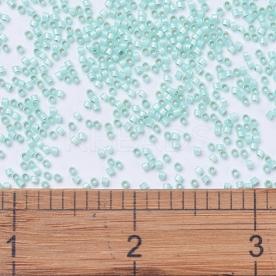 MIYUKI Delica Beads SEED-JP0008-DB0626-1