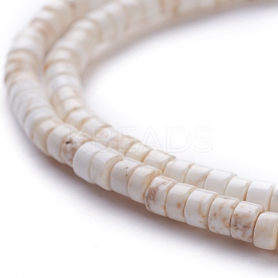Natural Magnesite Beads Strands G-H230-37-1