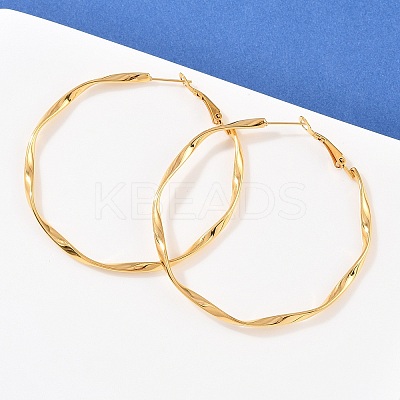 304 Stainless Steel Hoop Earrings EJEW-I320-25G-03-1