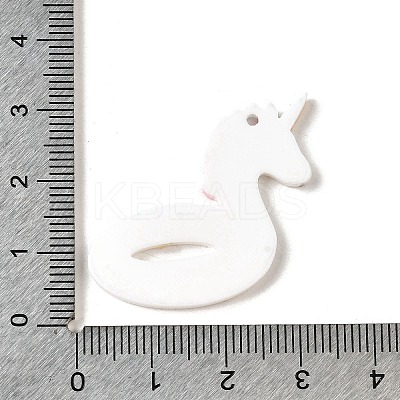 Summer Beach Series Acrylic Pendants OACR-S003-02C-1