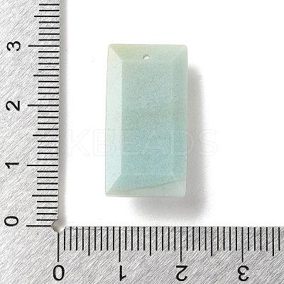 Natural Mixed Gemstone Faceted Pendants G-Z102-03G-1