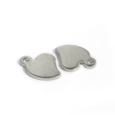 304 Stainless Steel Charms X-STAS-D431-26-1