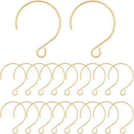 40Pcs Ion Plating(IP) 304 Stainless Steel Earring Hooks STAS-UN0036-42-1