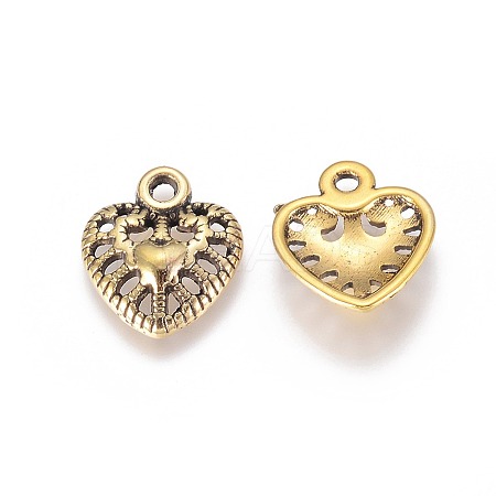 Tibetan Style Alloy Charms GLF10645Y-1