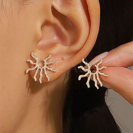 304 Stainless Steel Stud Earrings FS-WG82045-23-1