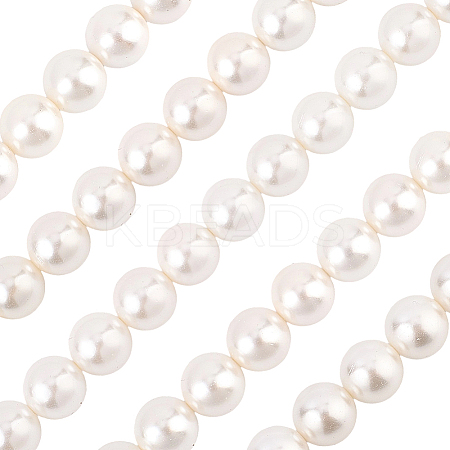 1 Strand AB Color Plated Shell Pearl Round Beads Strands BSHE-LT0001-01-1