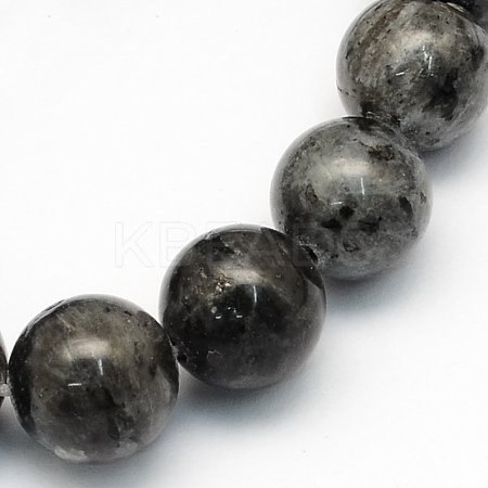 Natural Larvikite Round Beads Strands X-G-S159-10mm-1