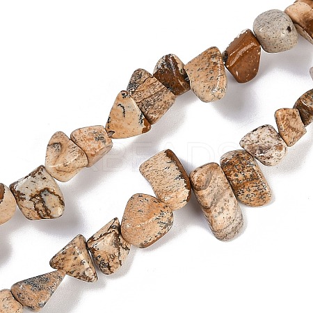 Natural Picture Jasper Nuggets Beads Strands G-B125-A10-01-1