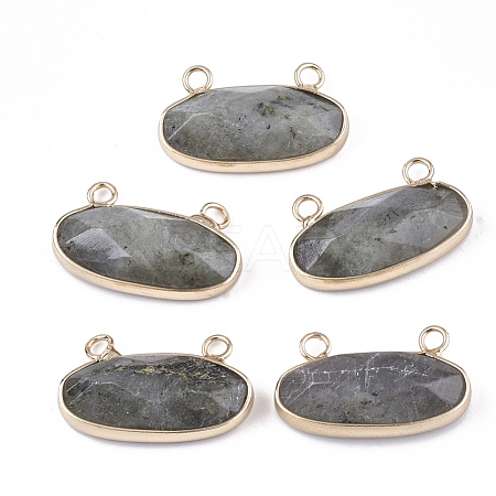 Natural Labradorite Pendants G-S344-44C-1