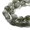 Natural Labradorite Beads Strands G-P520-B05-01-4