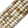 Natural Fossil Coral Beads Strands G-A280-A08-02-2