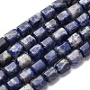 Natural Sodalite Beads Strands G-R015-A03-2