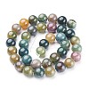 Natural Indian Agate Beads Strands GSR10mmC002-3